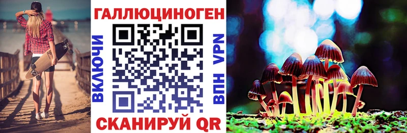 где купить наркоту  Щёлково  Галлюциногенные грибы Cubensis 
